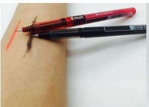 Japanese Lip Mapping Pencil